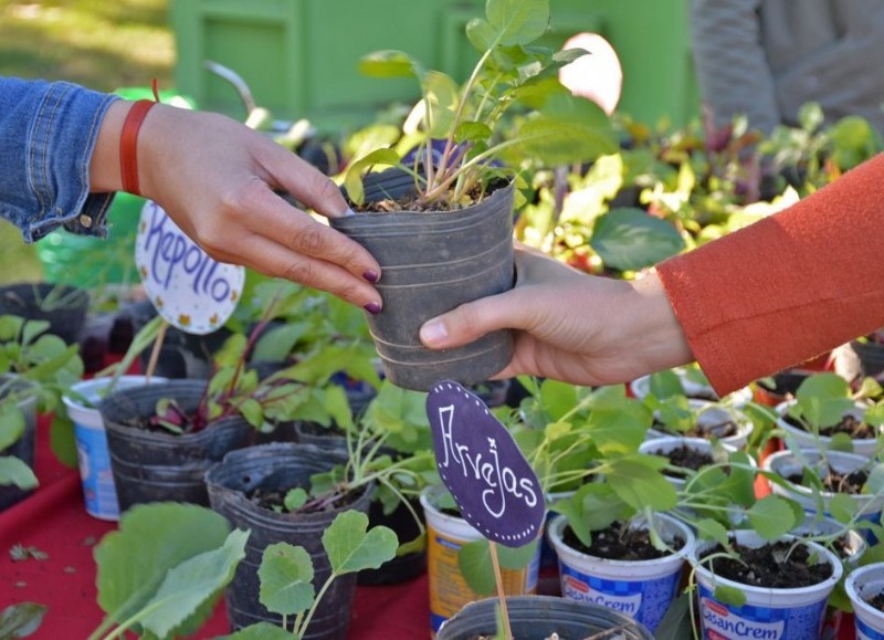 Se viene una jornada ambiental y sanitaria, con EcoCanje y vacunación antirrábica