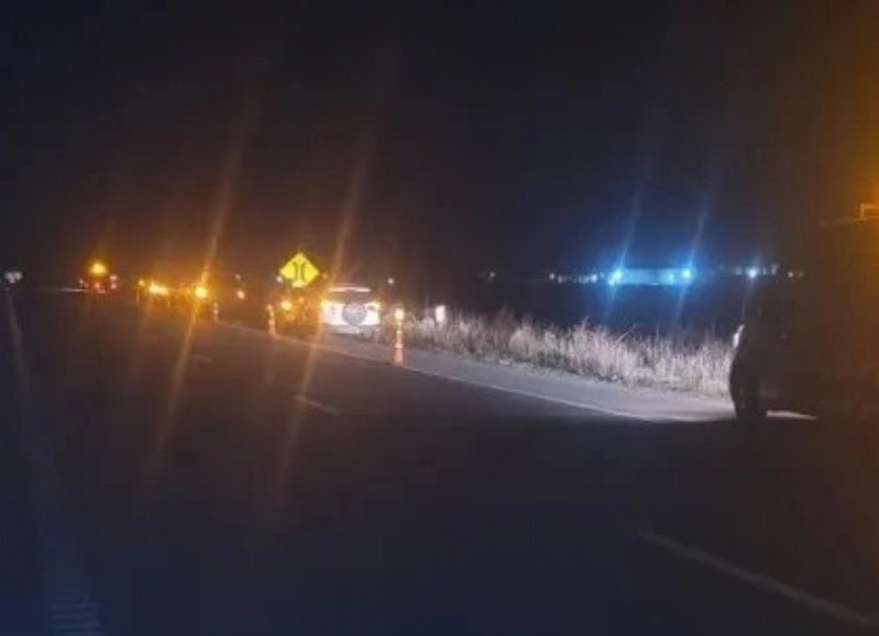 Caballos sueltos causaron accidentes de tránsito en la Autopista 8