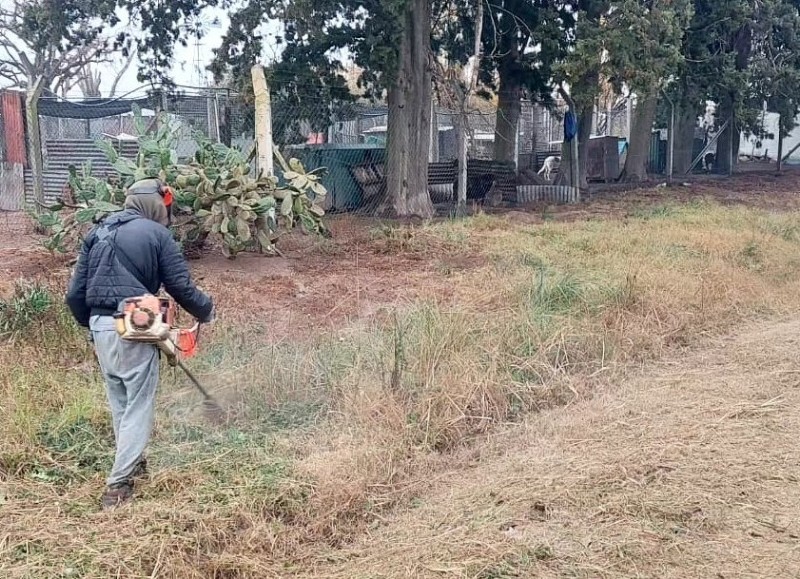 La Secretaría de Obras Públicas informa las tareas que se desarrollaron durante el miércoles.

