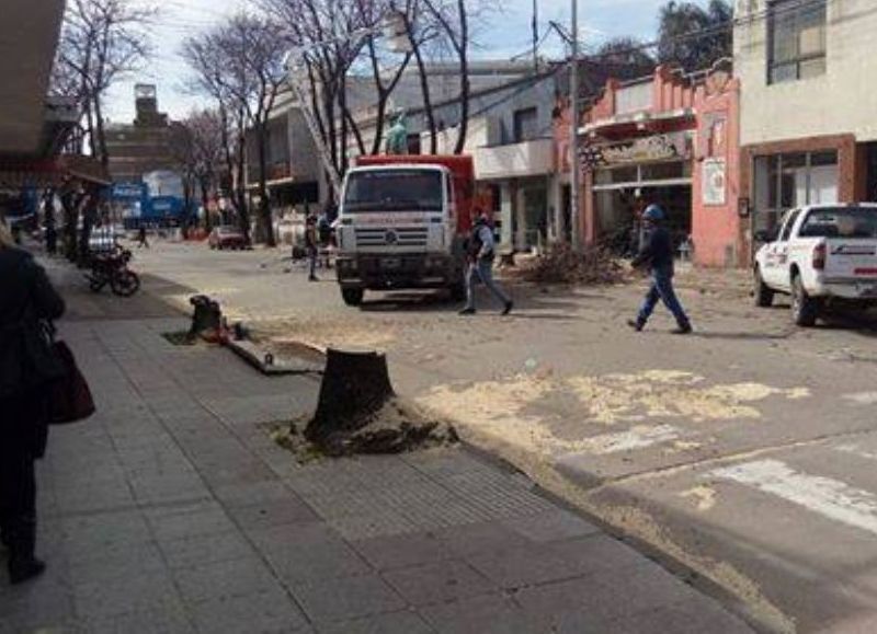 Tareas que levantaron mucha polémica.