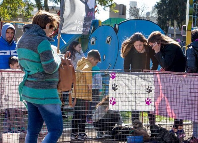 Una jornada festiva.