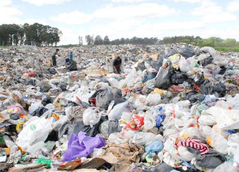 La degradación ambiental causa estragos.