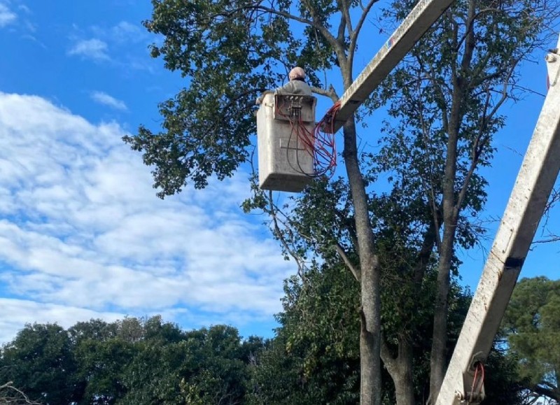 Convocan a podadores para integrar el registro municipal