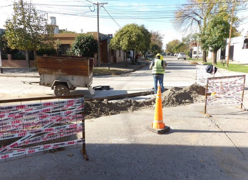 Labores en marcha.