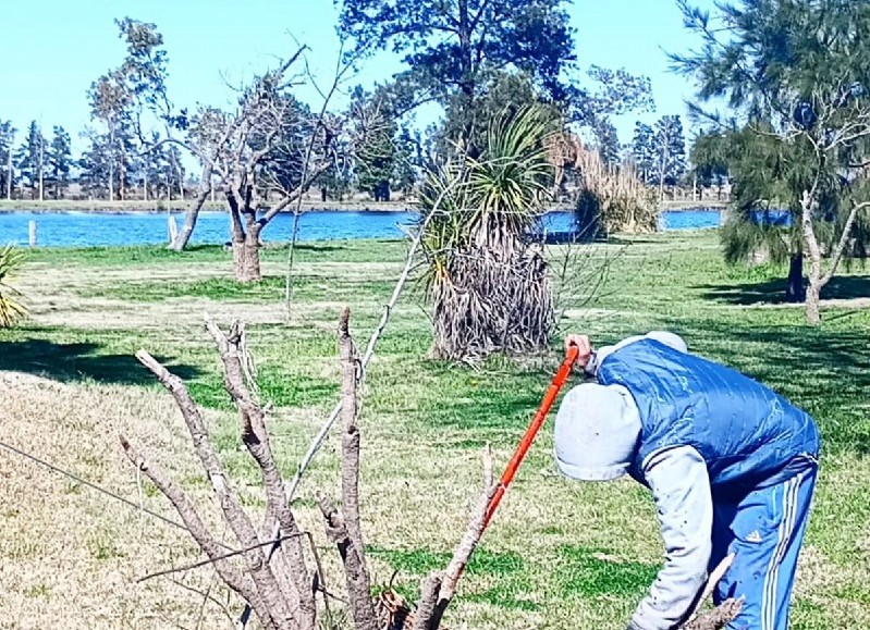 Extracciones y poda de especies, construcción y reparación de parrilleros, arreglos en el circuito, colocación de señalética y mejoras en la zona de vestuarios.