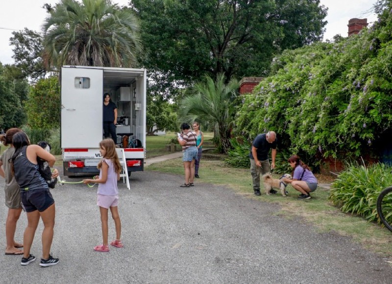 Continúan las castraciones gratuitas en los barrios de la ciudad