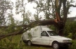 Nuestra ciudad sufrió lo que sería la "cola de un tornado"