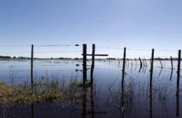 Ya se encuentra disponible la constancia de emergencia agropecuaria