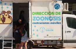 Continúan llevándose a cabo las jornadas de castración del programa Huellitas Colón