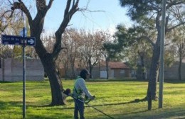 El municipio continúa mejorando los espacios de Colón