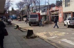 Se paraliza la obra de calle 47