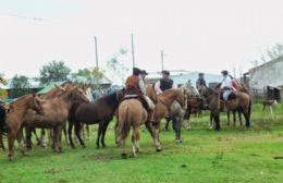 No habrá desfile ecuestre en los Festejos del  Día de la Tradición