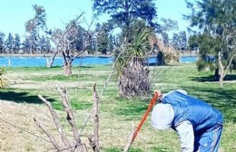 Comenzaron los trabajos de mantenimiento en el Lago Municipal