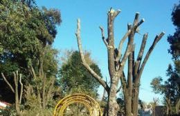 Poda en el Rancho Museo La Palmira