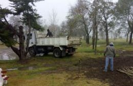 Avanza la reforestación del Lago y Complejo Polideportivo