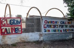 Llegaron aves para el "Gran Gallinero"